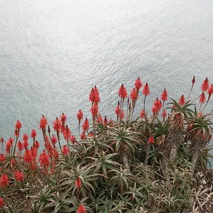 https://apartment-espada.madeira-islandshotels.com